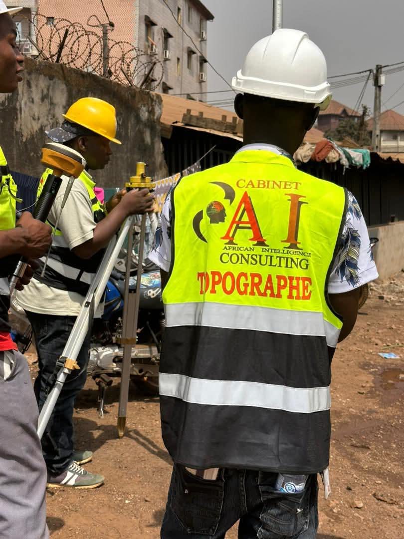 African Intelligence Consulting