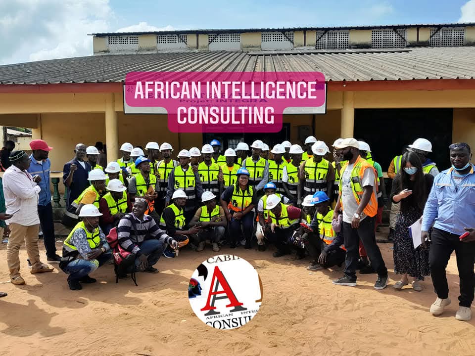 African Intelligence Consulting